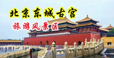 巨屌挺进人妻后臀中国北京-东城古宫旅游风景区